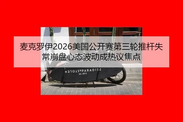 mai-ke-luo-yi-mei-guo-gong-kai-sai-di-san-lun-tui-gan-shi-chang-beng-pan-xin-tai-bo-dong-cheng-re-yi-jiao-dian-2-244.jpg